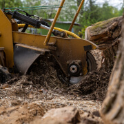 Tree Stump Grinding scaled