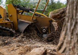 Tree Stump Grinding scaled