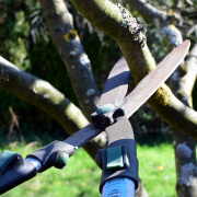 pruning shears 4964455 1280 1