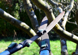 pruning shears 4964455 1280 1