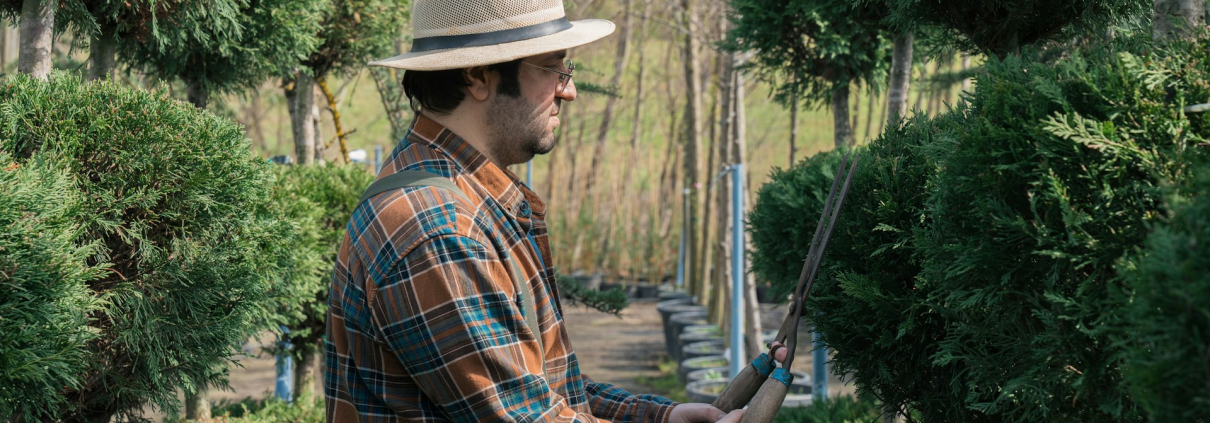 Tree Pruning