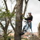 Tree Pruning