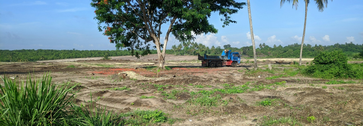 Land Clearing