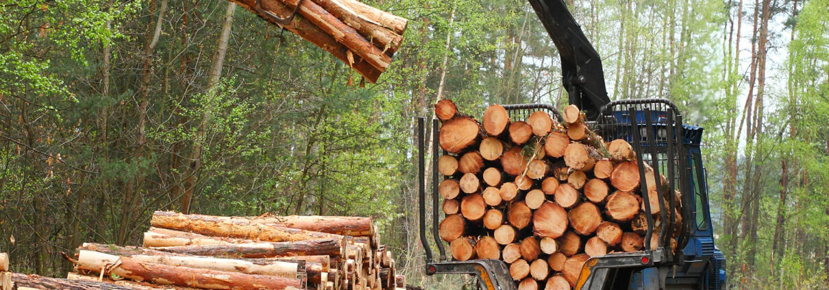 Land Clearing