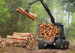 Land Clearing