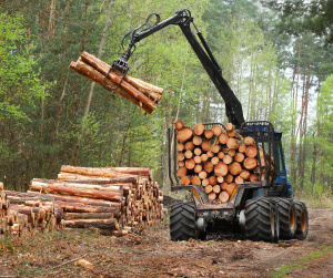 Land Clearing