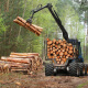Land Clearing
