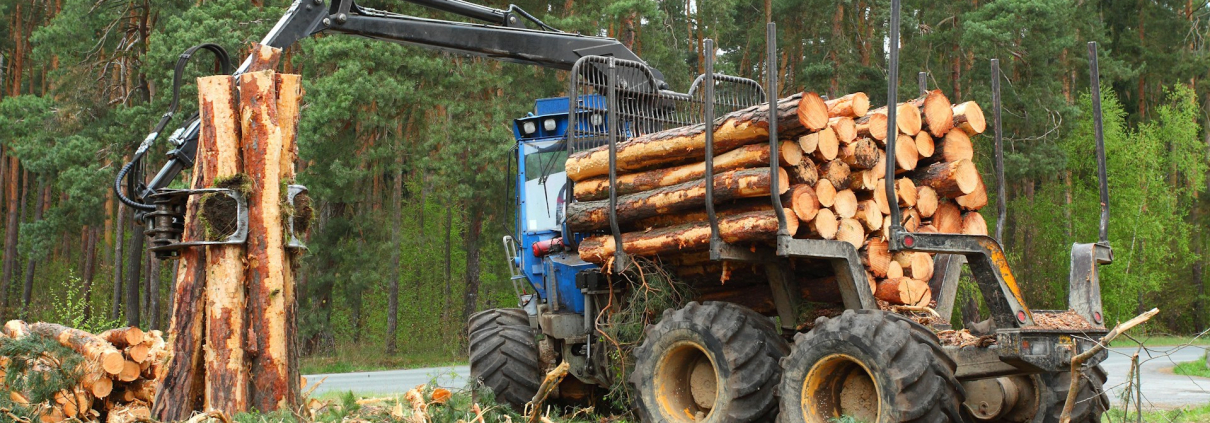 Clearing Land