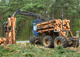 Clearing Land