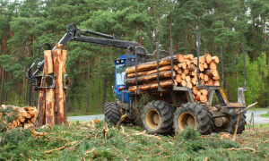 Clearing Land