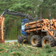 Clearing Land