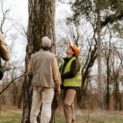 Tree Inspection