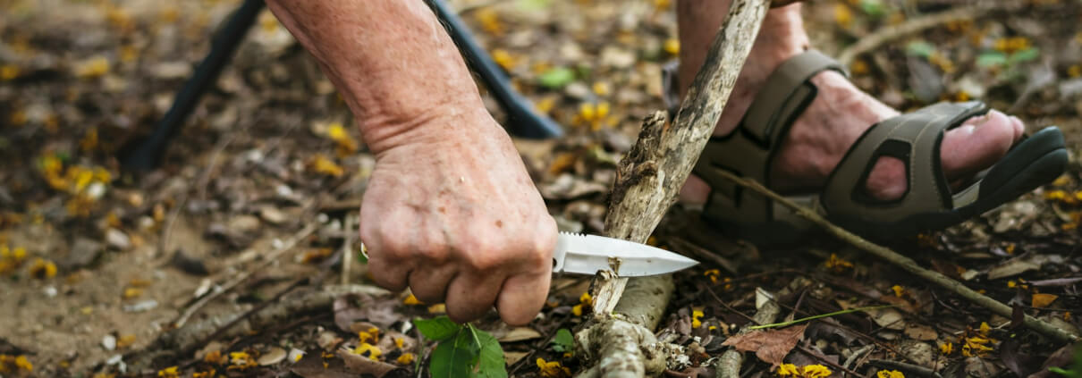Prevent Tree Root Problems