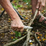 Prevent Tree Root Problems