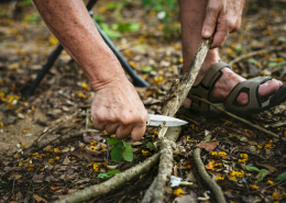 Prevent Tree Root Problems