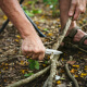 Prevent Tree Root Problems