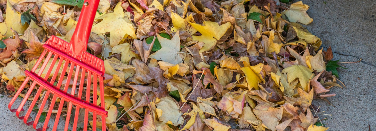 Manage Leaves