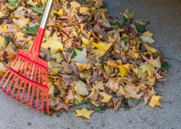 Manage Leaves