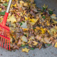 Manage Leaves