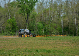 Expert Land Clearing