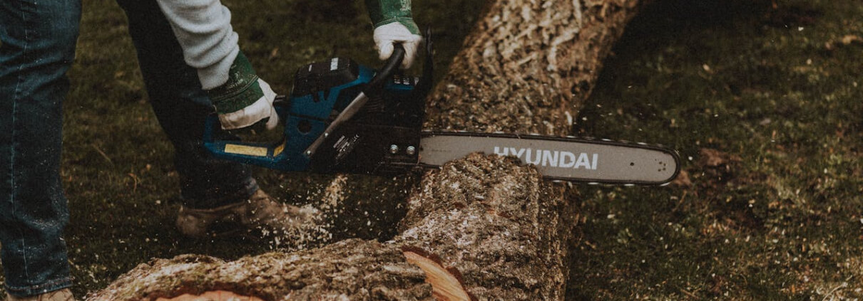 Tree Cutting Services