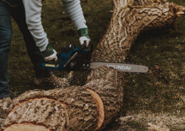 Tree Cutting Services