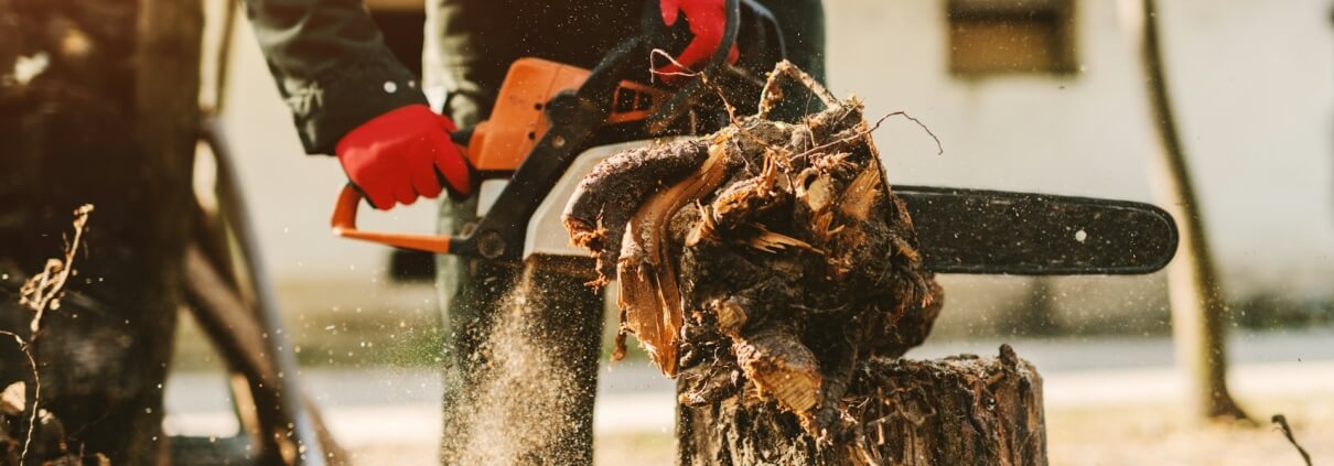 Stump Grinding