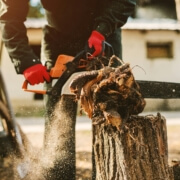 Stump Grinding
