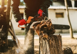 Stump Grinding