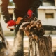 Stump Grinding