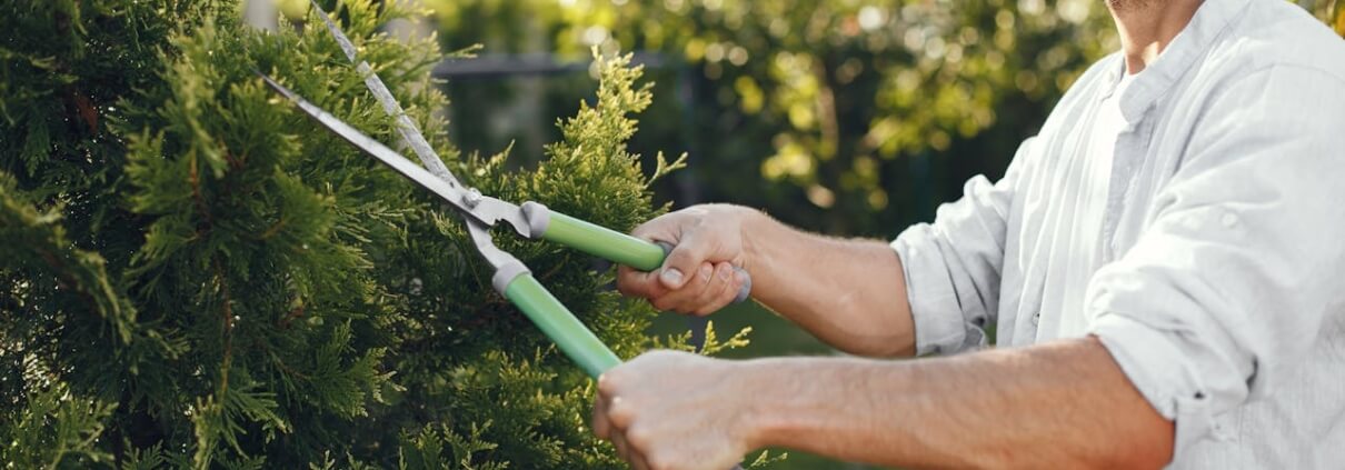Tree Clearing Services