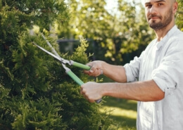 Tree Clearing Services