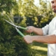 Tree Clearing Services