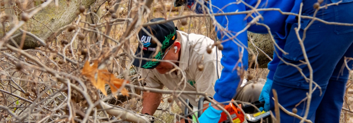 Tree Clearing Services