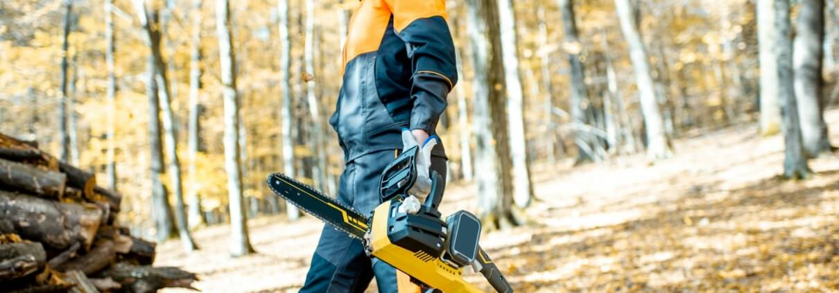 Tree Stump Grinding
