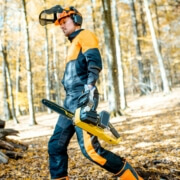 Tree Stump Grinding