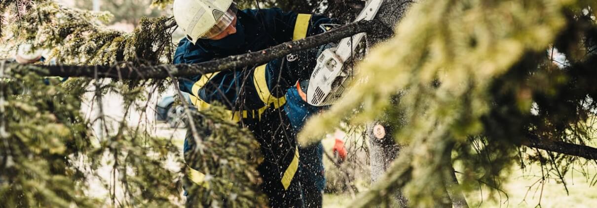Tree Services