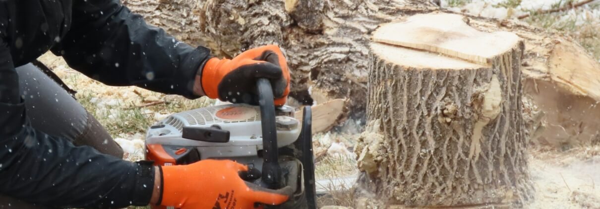 Tree Stump Grinders for Small Yards