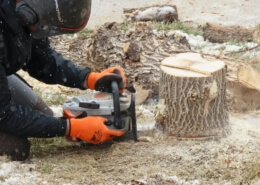 Tree Stump Grinders for Small Yards