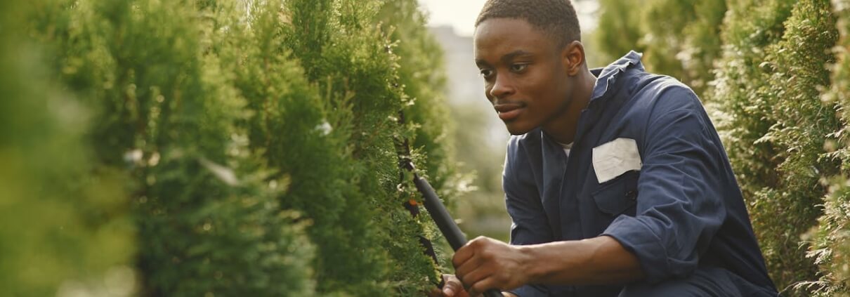 Tree Trimming