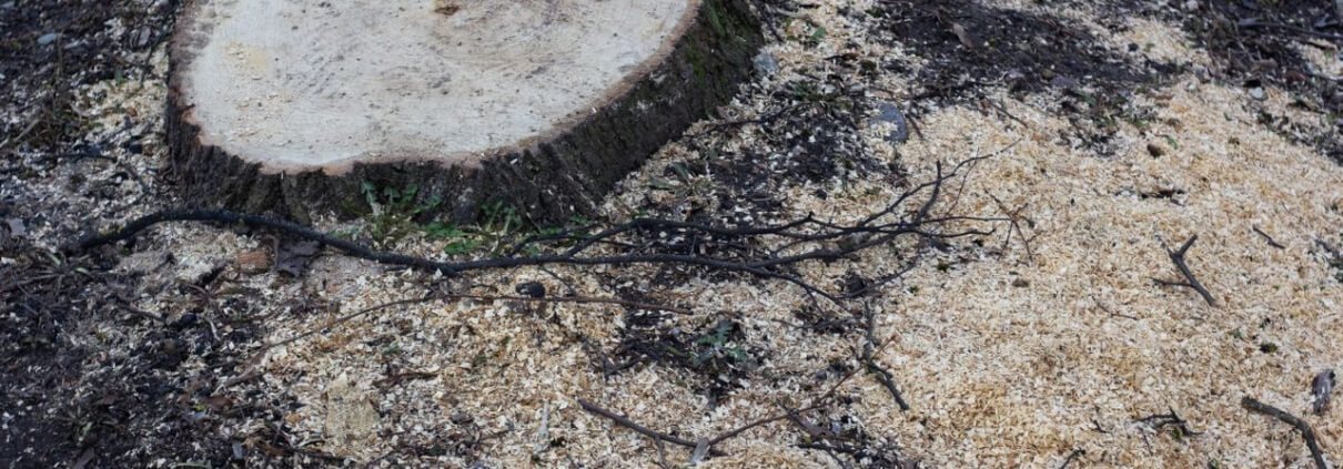 Stumps Tree Service