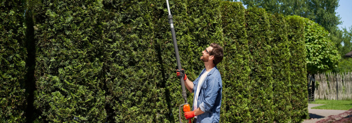 Tree Cutting Near Fences