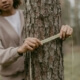Tree Inspection