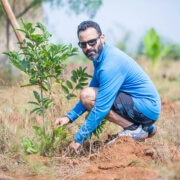 Tree Lopping