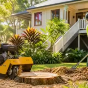 Everything to Know About Tree Stump Removal in Brisbane