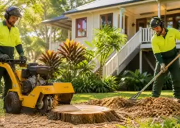 Everything to Know About Tree Stump Removal in Brisbane