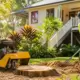 Everything to Know About Tree Stump Removal in Brisbane