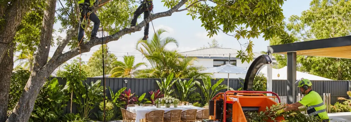 Guide to Tree Lopping for Summer Party Prep in Brisbane