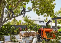 Guide to Tree Lopping for Summer Party Prep in Brisbane